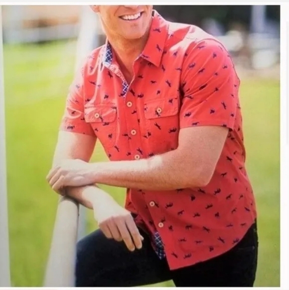 MATILDA JANE CLOTHING W JOANNA GAINES RED BUTTON DOWN W BLUE HORSES, SZ LARGE - Picture 6 of 7